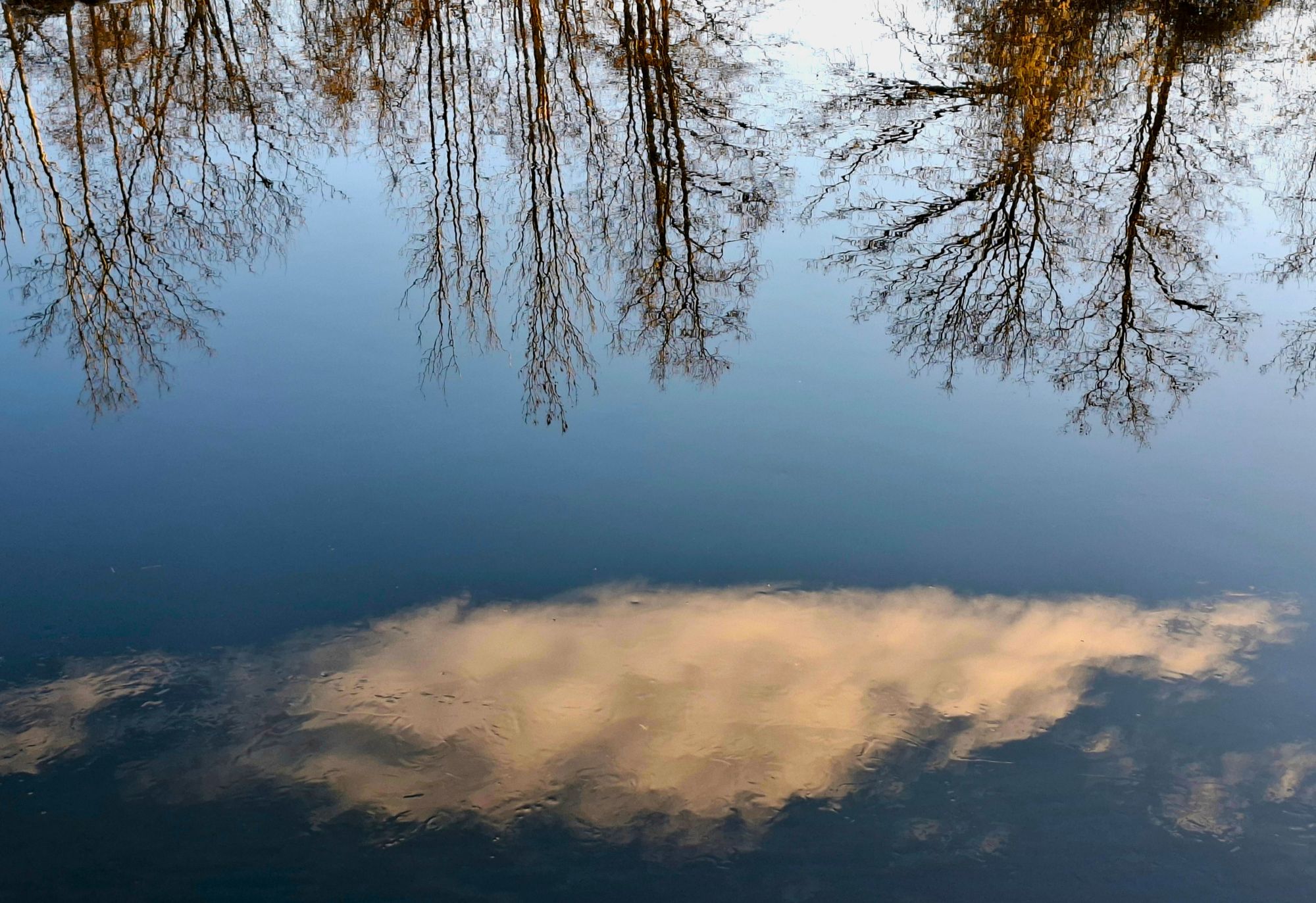 25 P Spiegelung - Maria Kleisch